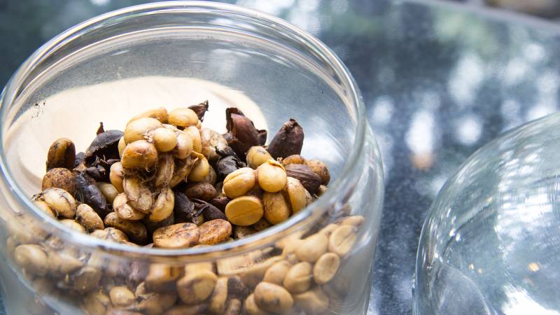 Civet-Coffee