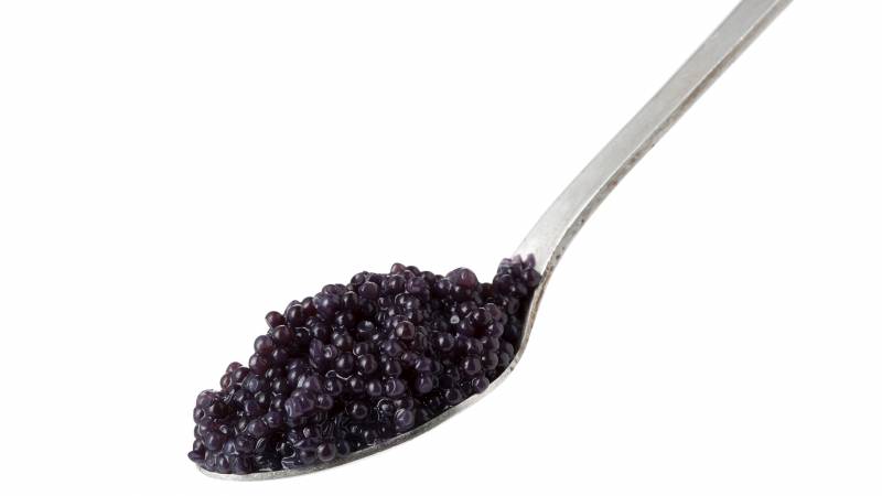 4-Caviar