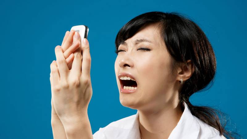 elwynn / Shutterstock.com