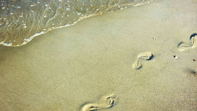 melis / Shutterstock.com