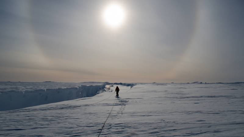 antantarctic / Shutterstock.com