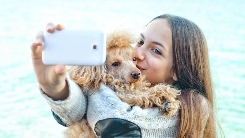 Rasulov / Shutterstock.com